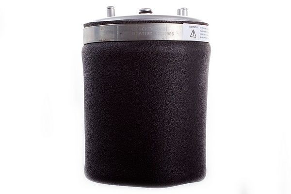 DENCKERMANN Luftfjeder DSA110G DSA110G DENCKERMANN Fjerbælg, luftaffjedring Audi billig