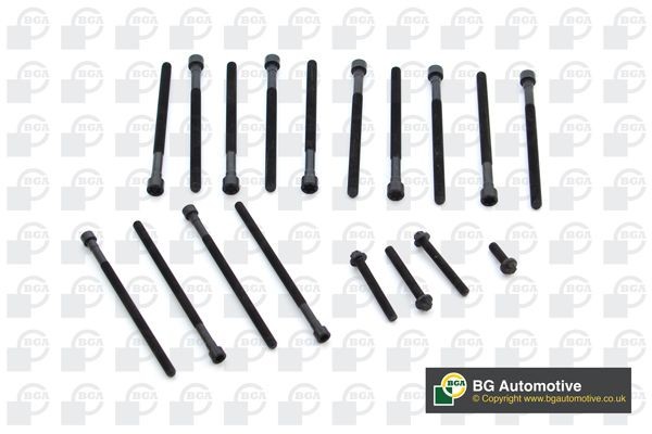 BGA Cilinderkopbouten BK0904 BGA BK0904 Cilinderbouten BMW F12 originele prijs