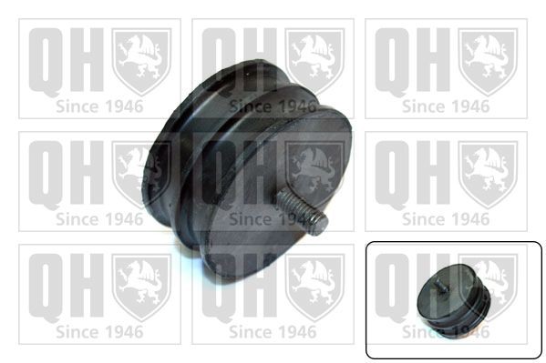 QUINTON HAZELL Montering, växel, automatisk EM1525 EM1525 QUINTON HAZELL växellådskudde Volvo V50