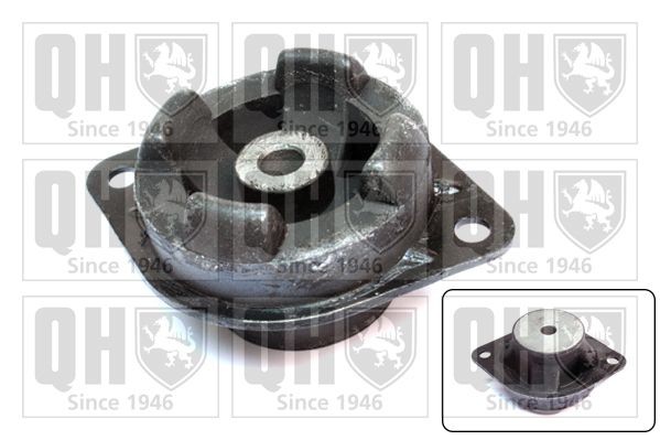 QUINTON HAZELL Ophanging, hulpframe / motordrager EM2451 EM2451 QUINTON HAZELL Achteras rubbers Audi 85 prijs