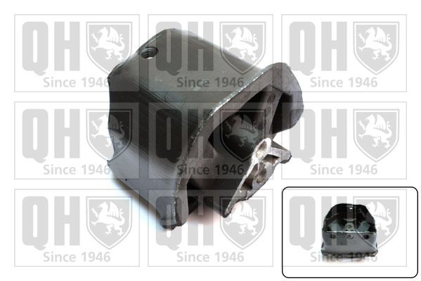 QUINTON HAZELL Motorfeste EM2464 QUINTON HAZELL EM2464 Motorkudde Kadett E Van (T85) pris