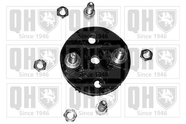 QUINTON HAZELL Fläns, styrkolumn EMD1735 EMD1735 QUINTON HAZELL led, styrstag BMW X3