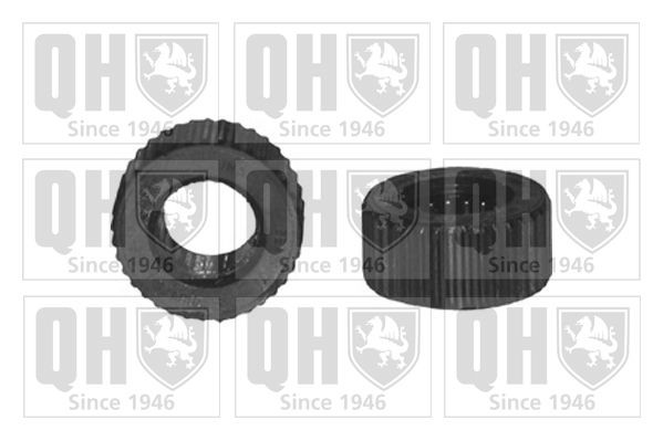 QUINTON HAZELL Flens, stuurkolom EMD1739 Fiat IDEA Koppeling, stuurkolom QUINTON HAZELL EMD1739