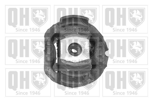 QUINTON HAZELL Suspension, bras de liaison EMS2494 EMS2494 Silent bloc de suspension MERCEDES-BENZ Classe E QUINTON HAZELL