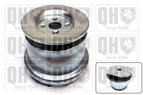 QUINTON HAZELL Tukivarren hela EMS4092 Fiat 182 Tukivarren pusla EMS4092 QUINTON HAZELL