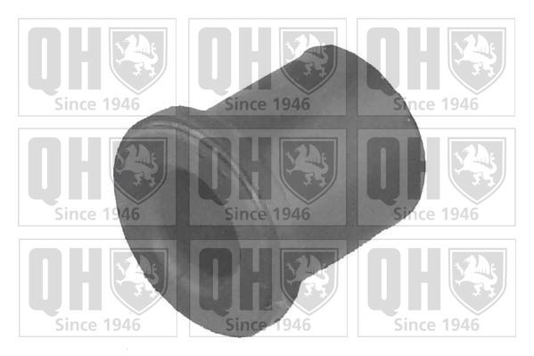 QUINTON HAZELL Supporto, Molla a balestra EMS8013 QUINTON HAZELL EMS8013 Balestre Opel Combo C Tour prezzo