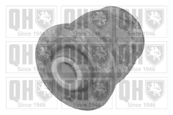 QUINTON HAZELL Draagarmrubber EMS8060 Draagarmlager houder QUINTON HAZELL 323 EMS8060 goedkoop