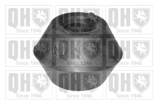 QUINTON HAZELL Suspension, bras de liaison EMS8102 EMS8102 Silent bloc triangle MERCEDES-BENZ Classe E QUINTON HAZELL