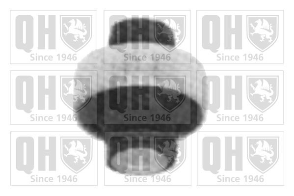 Puks QUINTON HAZELL EMS8156 QUINTON HAZELL EMS8156 FIAT BRAVO 2017 Õõtshoova puks