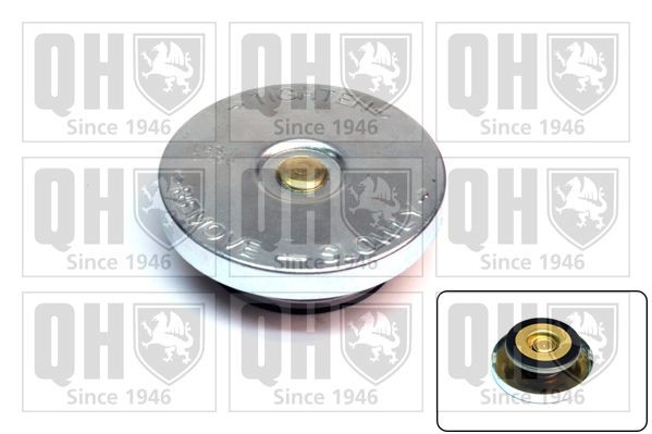 QUINTON HAZELL Radiator cap FC42B QUINTON HAZELL FC42B FORD Transit Mk3 Platform / Chassis (VE6) pressure cap replacement