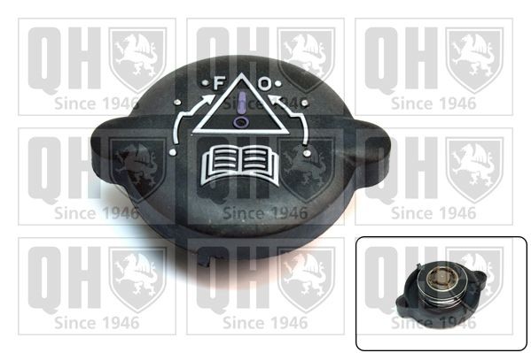 QUINTON HAZELL Tampa de fecho, recipiente de líquido de refrigeração FC512 Tampa de fecho recipiente de líquido de refrigeração QUINTON HAZELL 924 FC512 baratos