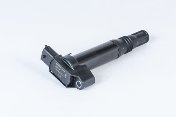 BERU Bobina d'accensione ZS574 ZS574 Bobina d'accensione BERU PEUGEOT 406 costo