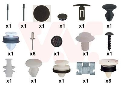 VAN WEZEL Montageset, deur 4373799 Deurpaneel VAN WEZEL GRAND SCÉNIC 4373799 goedkoop