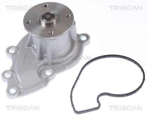 TRISCAN Pompa acqua 8600 43025 8600 43025 Pompa acqua motore TRISCAN Hyundai