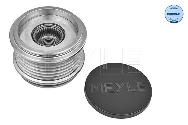 MEYLE Roda livre do alternador 100 053 1004 MEYLE 100 053 1004 Polia do alternador VW Crafter 30 Van a um preço acessível
