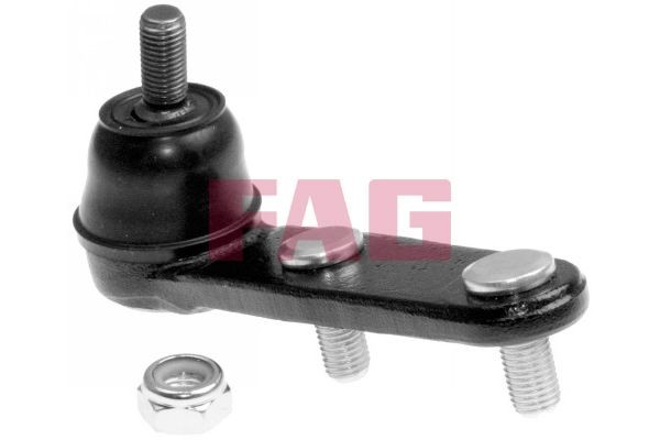 FAG Fuseekogel 825 0042 10 FAG 825 0042 10 Kogel, fusee Accord VII Coupe originele prijs