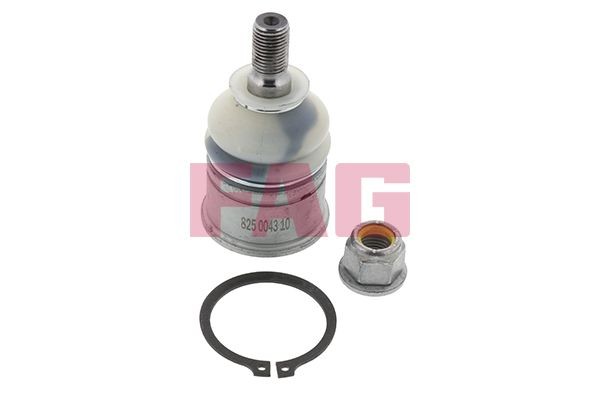 FAG Pallonivel 825 0043 10 Honda TF Alatukivarren pallonivel 825 0043 10 FAG