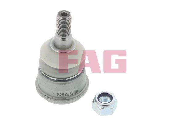 FAG Spindelled 825 0058 10 825 0058 10 FAG spindelleder MERCEDES-BENZ V-klass