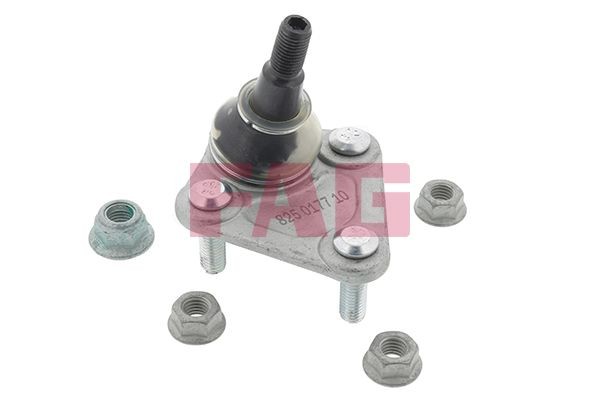FAG Μπαλάκι ψαλιδιού 825 0177 10 Μπαλάκια ψαλιδιών FAG Seat IBIZA 825 0177 10