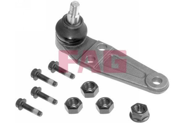 FAG Spindelled 825 0215 10 825 0215 10 FAG Spindelled Skoda