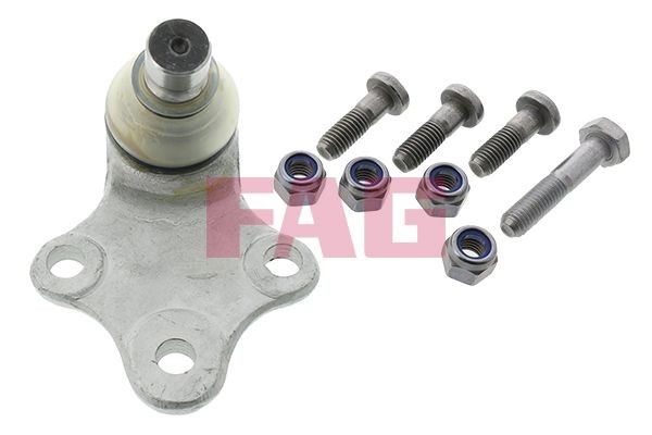 Kande- / juhtliigend FAG 825 0239 10 FAG 825 0239 10: Šarniir Peugeot 306 2002
