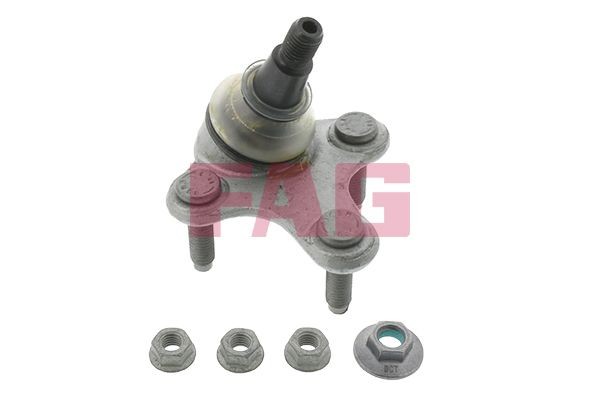 FAG Kande- / juhtliigend 825 0276 10 FAG 825027610 Šarniir VW CC 358 hind