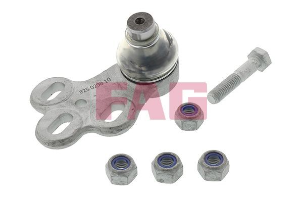 FAG Fuseekogel 825 0290 10 825 0290 10 Fuseekogels AUDI A5 FAG