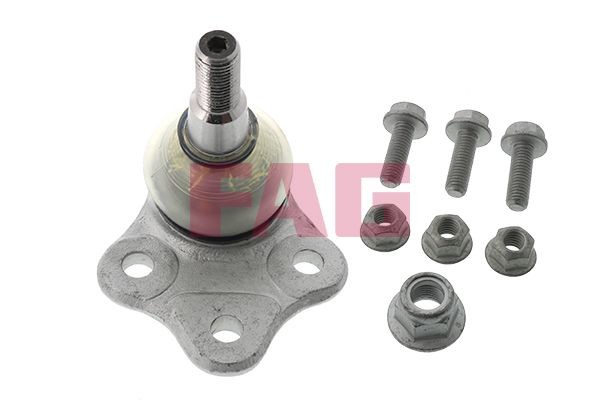 Kande- / juhtliigend FAG 825 0298 10 FAG 825 0298 10: Šarniir Ford MONDEO 2014