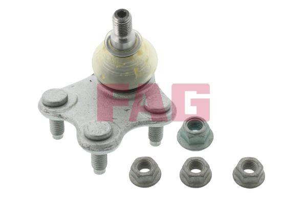 FAG Testina braccio oscillante 825 0326 10 FAG 825 0326 10 Testina braccio oscillante Ibiza Sportcoupe Cassone / coda spiovente (6J1) prezzo
