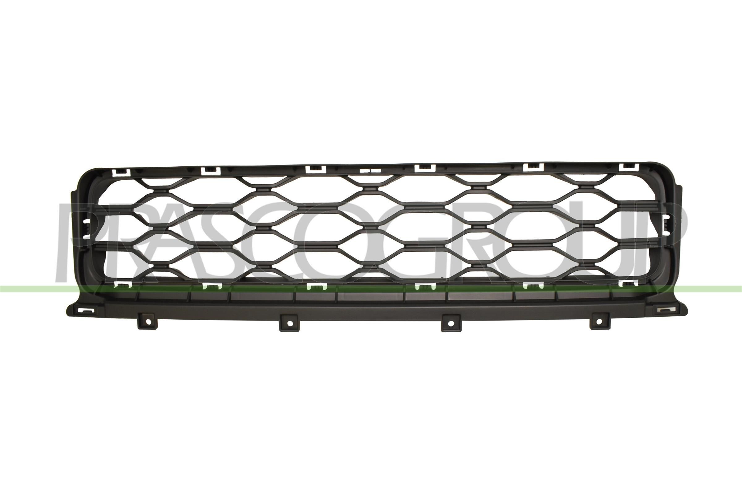 PRASCO Radiator grill MN7042130 PRASCO MN7042130 Radiator grill MINI Countryman (F60) John Cooper Works ALL4 231 Pk 2019