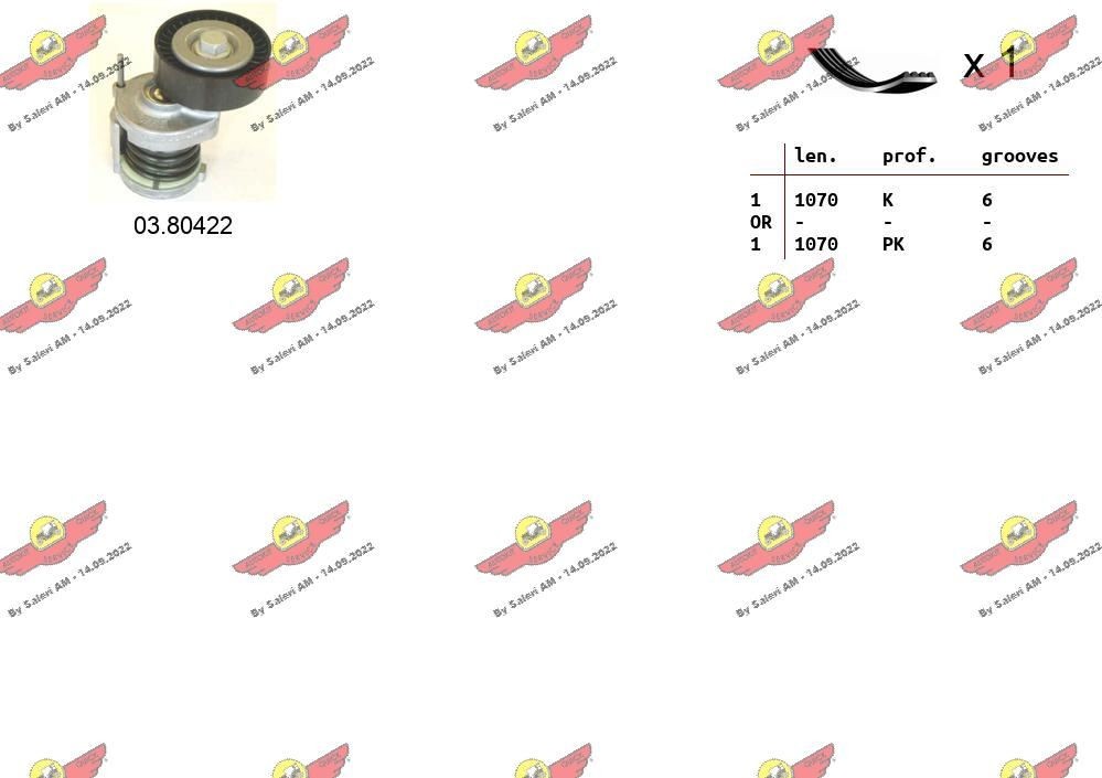 AUTOKIT Soonrihmakomplekt 06.0008 Soonrihmakomplekt AUTOKIT Citroën C4 06.0008