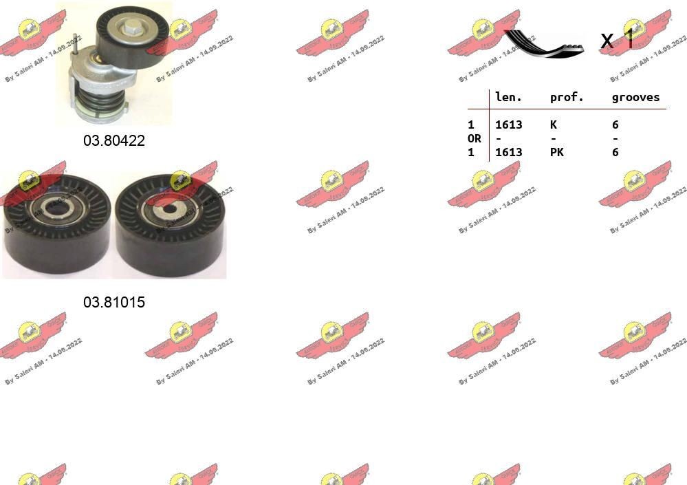 AUTOKIT Kileremssæt 06.0013 Multirem AUTOKIT Opel SIGNUM 06.0013