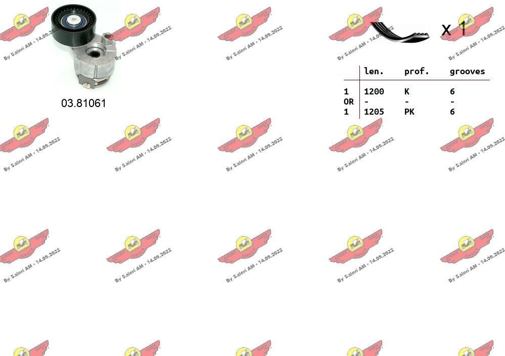 AUTOKIT Poly V-riem set 06.0034 06.0034 AUTOKIT Poly v riemen kit Mercedes-Benz goedkoop