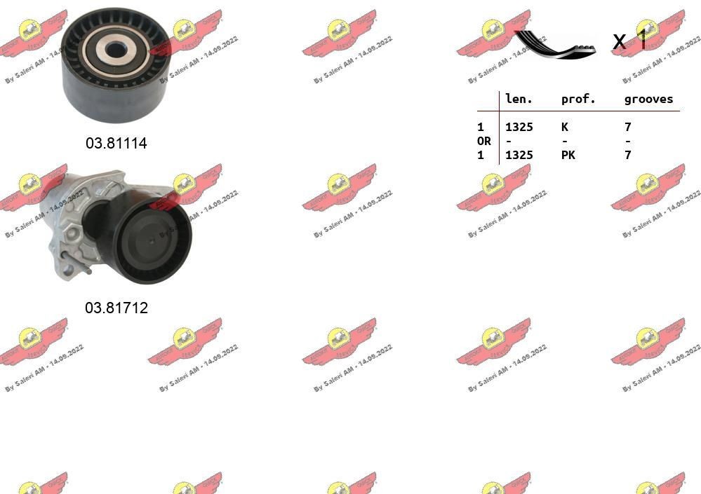 AUTOKIT Kileremssæt 06.0100 06.0100 Multirem OPEL SIGNUM AUTOKIT