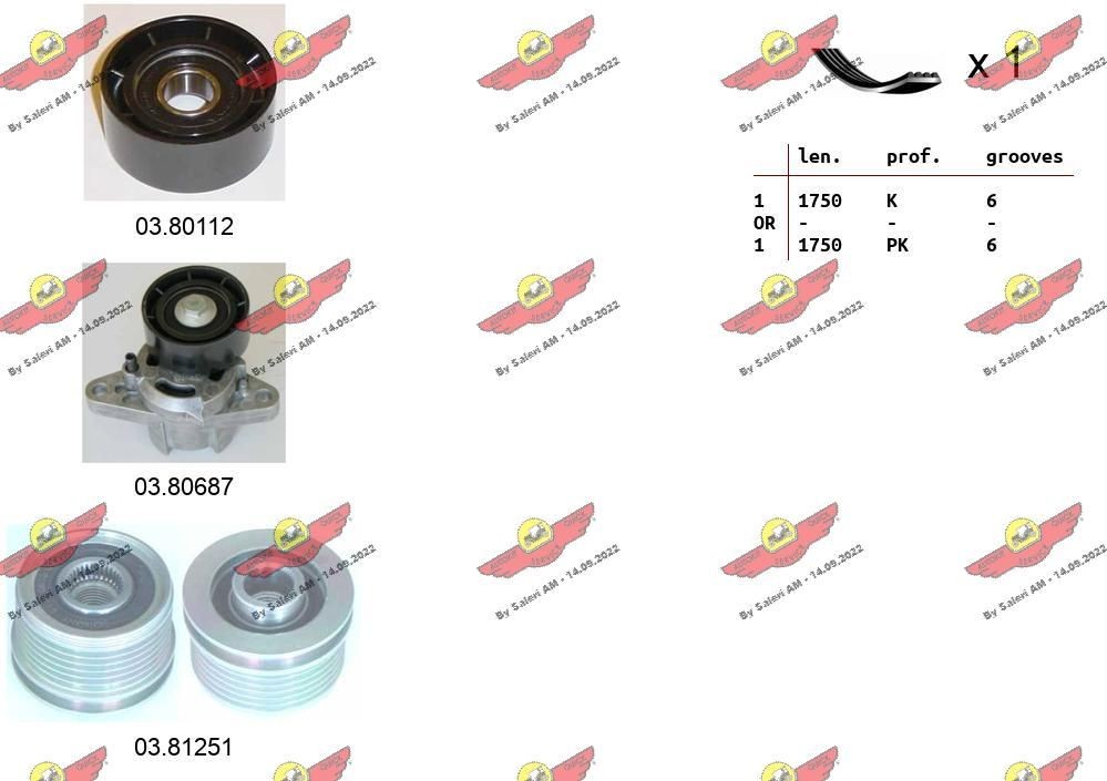 AUTOKIT Poly V-riem set 06.0108 AUTOKIT Multisnaar AUDI 06.0108