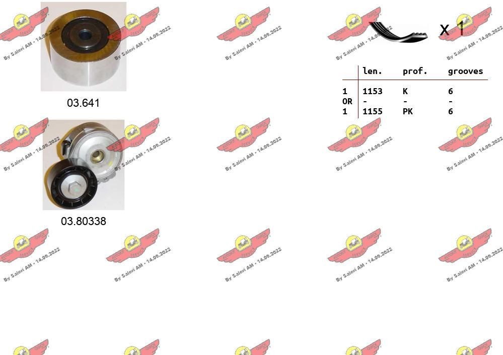 AUTOKIT Poly V-riem set 06.0132 06.0132 AUTOKIT Poly-V-riem Audi goedkoop