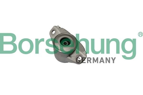Borsehung Veerpootlager B19062 Toplager, schokdemper Borsehung A5 B19062 goedkoop