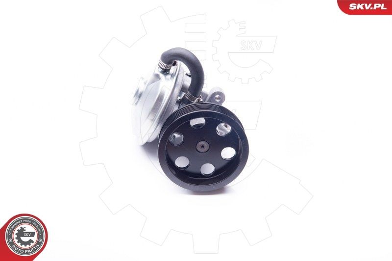 ESEN SKV Vacuümpomp rembekrachtiger 18SKV020 ESEN SKV 18SKV020 Vacuümpomp rembekrachtiger BMW X6 originele