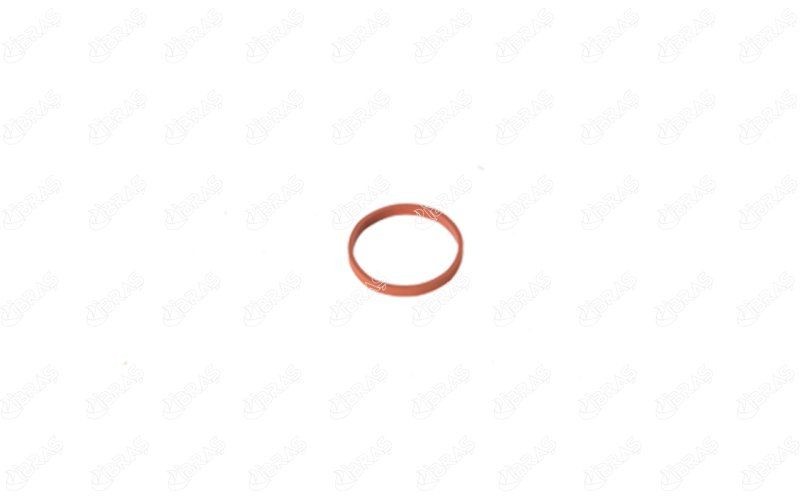 IBRAS Bague d'étanchéité, gaine de suralimentation 11134 Renault SCÉNIC Bague d'étanchéité, gaine de suralimentation IBRAS 11134