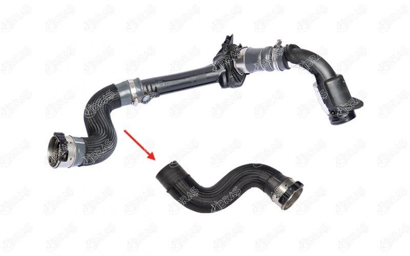 IBRAS Flessibile aria alimentazione 11598 11598 Tubo intercooler IBRAS RENAULT MEGANE costo
