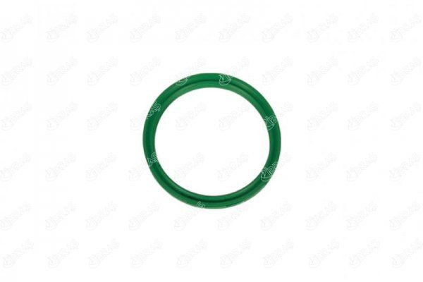 IBRAS Bague d'étanchéité, gaine de suralimentation 35073 Chevrolet SUBURBAN Bague d'étanchéité, gaine de suralimentation IBRAS 35073