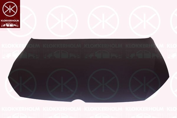 KLOKKERHOLM Motorhaube 9551280 9551280 Motorhaubenschloss TESLA MODEL X KLOKKERHOLM kaufen