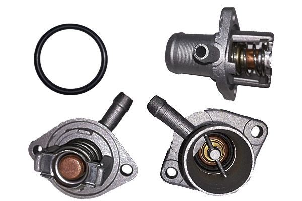 BUGIAD Thermostaathuis BMC19227 Thermostaten OPEL BUGIAD BMC19227