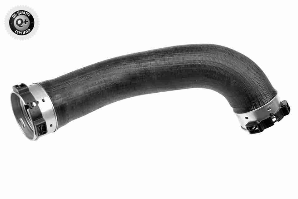 VAICO Kompressoriõhuvoolik V30-3362 VAICO V30-3362 Laadimisõhu voolik NISSAN NP300 PICKUP originaal