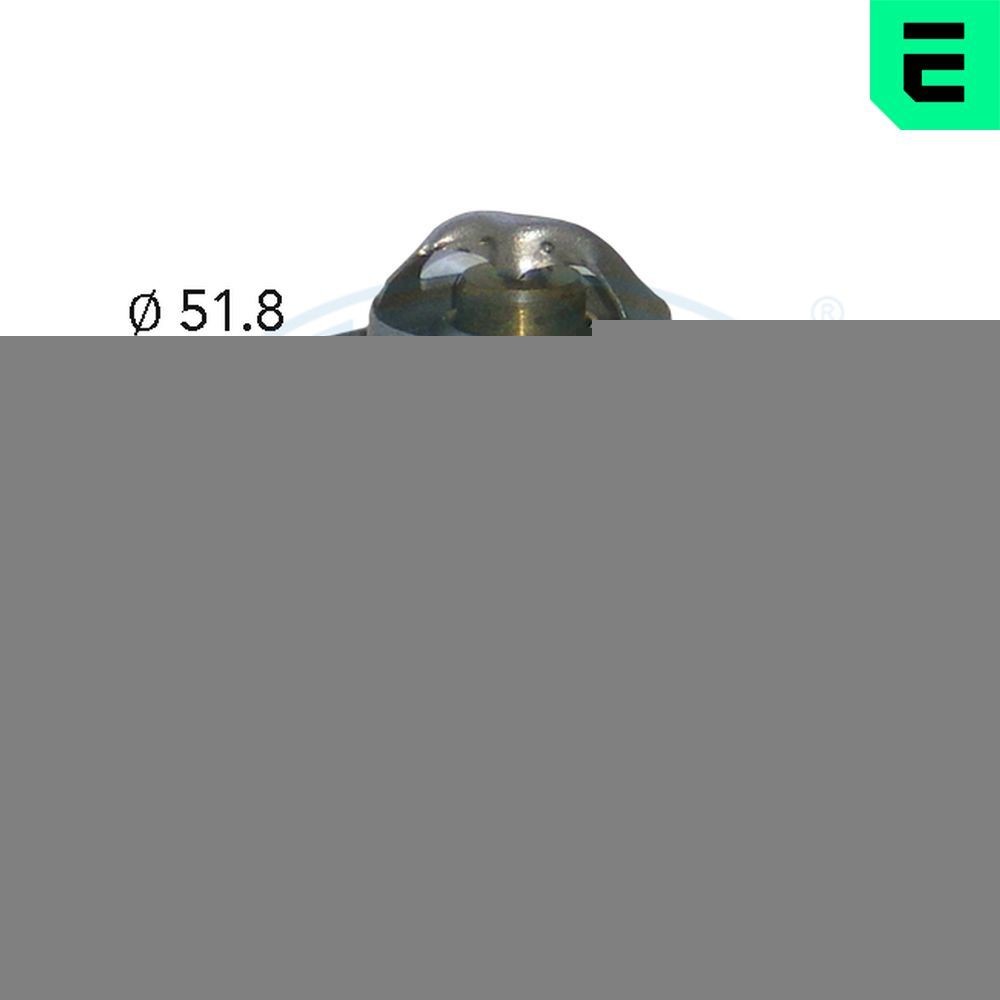 ERA Thermostat d'eau 350258A Calorstat ERA FIAT 350258A