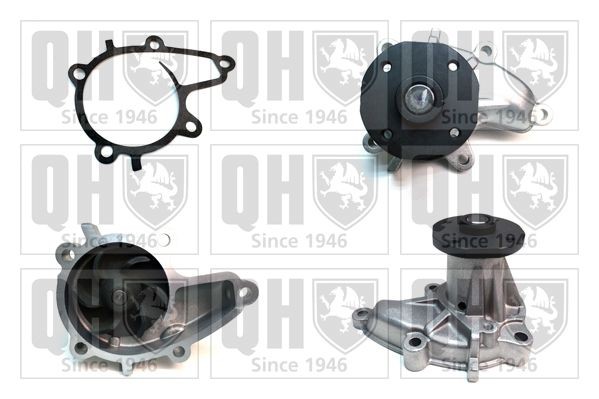 QUINTON HAZELL Vandpumpe QCP2405 QUINTON HAZELL QCP2405 Patrol Y60 Vandpumpe pris