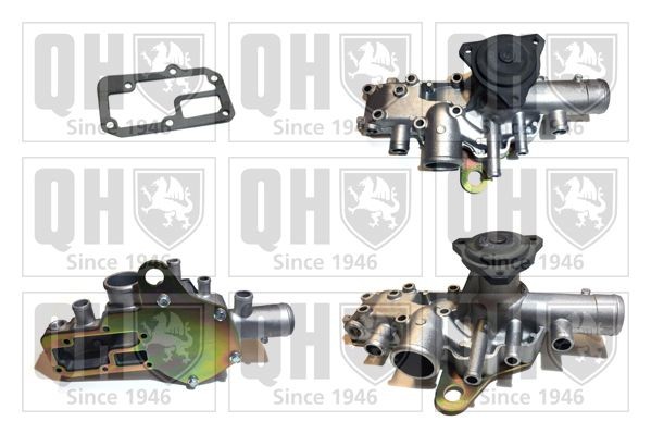 QUINTON HAZELL Waterpomp QCP2458 QUINTON HAZELL QCP2458 originele Waterpomp Talisman Sedan (L47) kosten