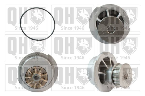 QUINTON HAZELL Vattenpump QCP2471 QUINTON HAZELL QCP2471 Vattenpump Astra Mk1 Hatchback original