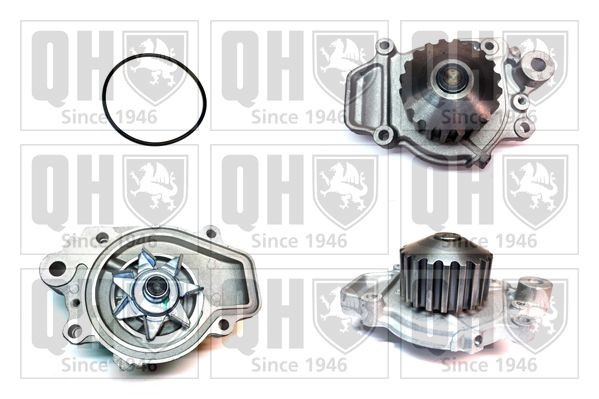 QUINTON HAZELL Waterpomp QCP2705 QUINTON HAZELL QCP2705 Waterpompen Renault LATITUDE originele