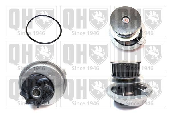 QUINTON HAZELL Vattenpump QCP2800 QUINTON HAZELL QCP2800 Kylsystem CATERHAM kostnad